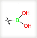 boronic acid