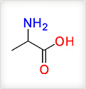 amino acid